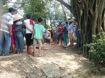 Ảnh bìa bài viết 450337