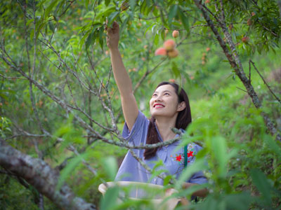 Ảnh bìa bài viết 451137