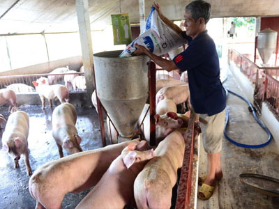 Ảnh bìa bài viết 451367