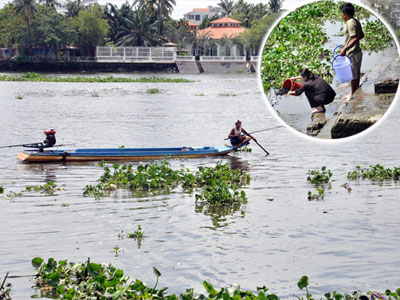 Ảnh bìa bài viết 451705