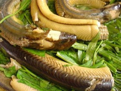 Ảnh bìa bài viết 452676