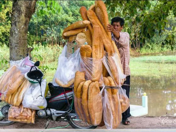 Ảnh bìa bài viết 452711