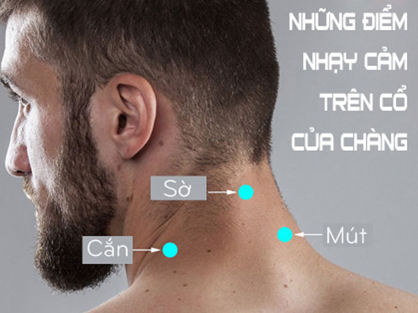 Ảnh bìa bài viết 454110