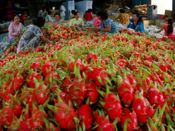 Ảnh bìa bài viết 454191