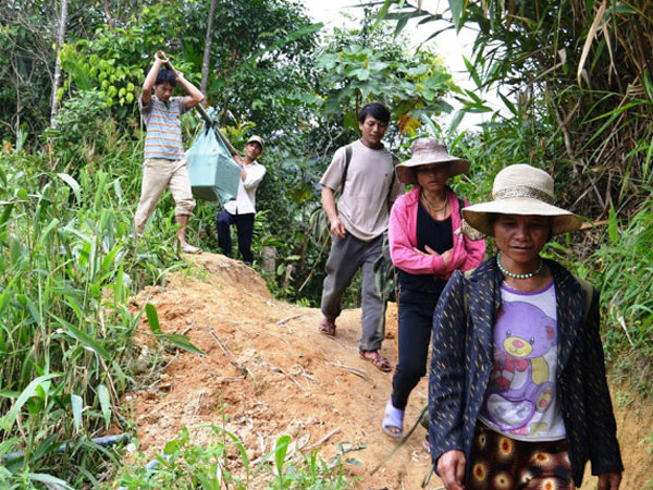 Ảnh bìa bài viết 454362