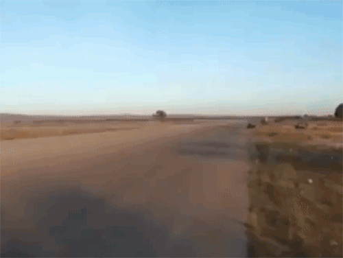 Ảnh bìa bài viết 455315