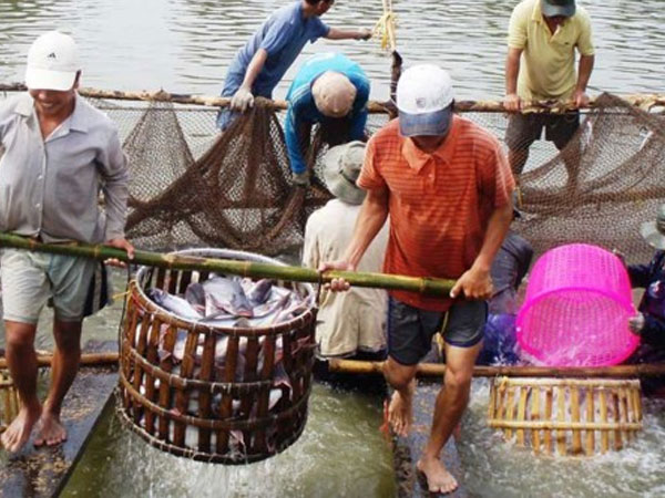Ảnh bìa bài viết 455754