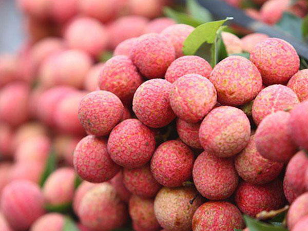 Ảnh bìa bài viết 456481