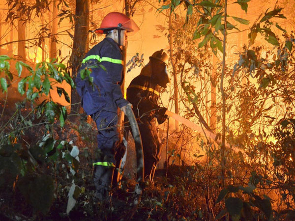 Ảnh bìa bài viết 458188