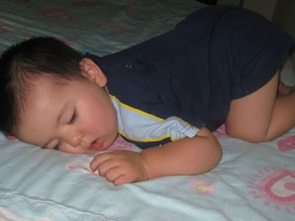 Ảnh bìa bài viết 458390