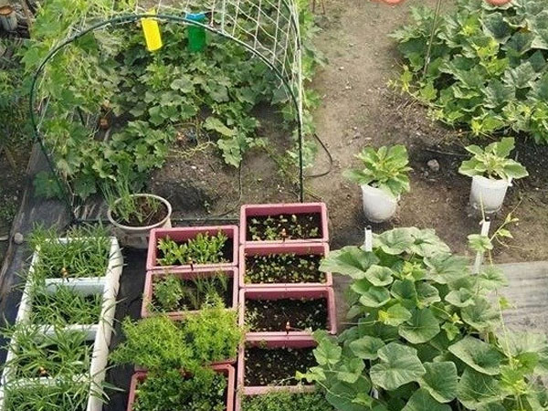 Ảnh bìa bài viết 458370