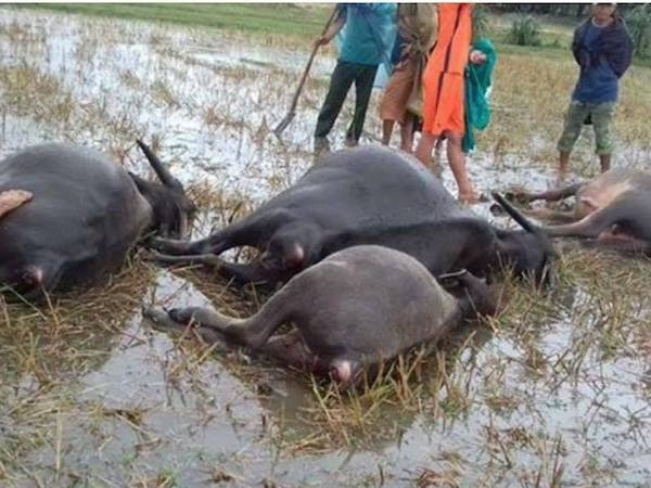 Ảnh bìa bài viết 459137