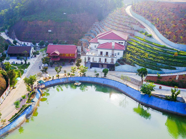 Ảnh bìa bài viết 459634