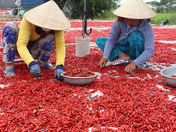 Ảnh bìa bài viết 460717