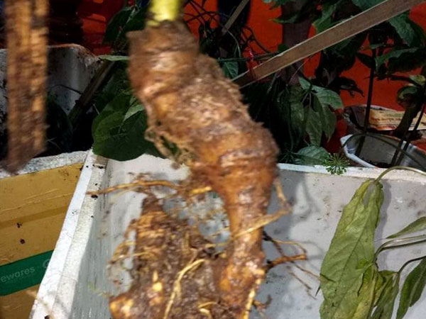Ảnh bìa bài viết 460953
