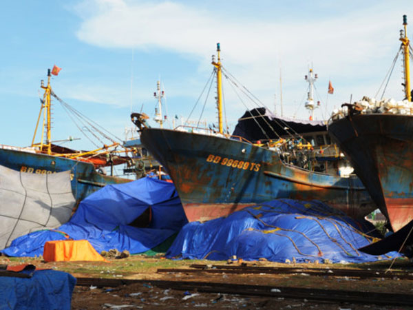 Ảnh bìa bài viết 462217