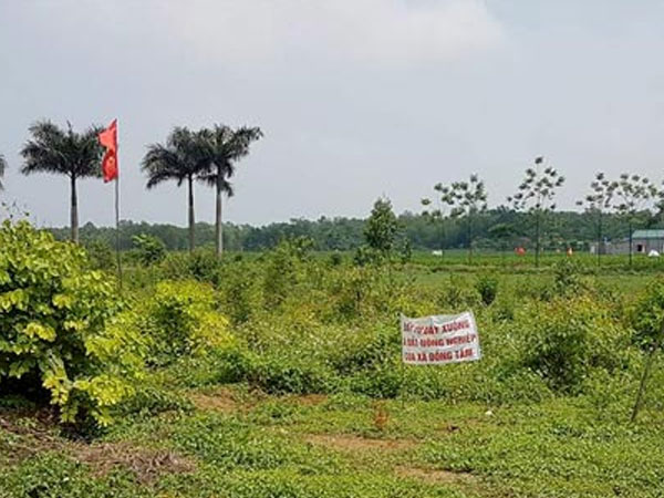 Ảnh bìa bài viết 462459