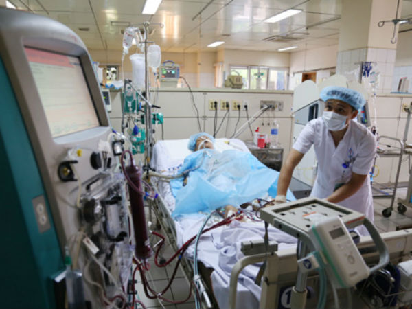 Ảnh bìa bài viết 462601