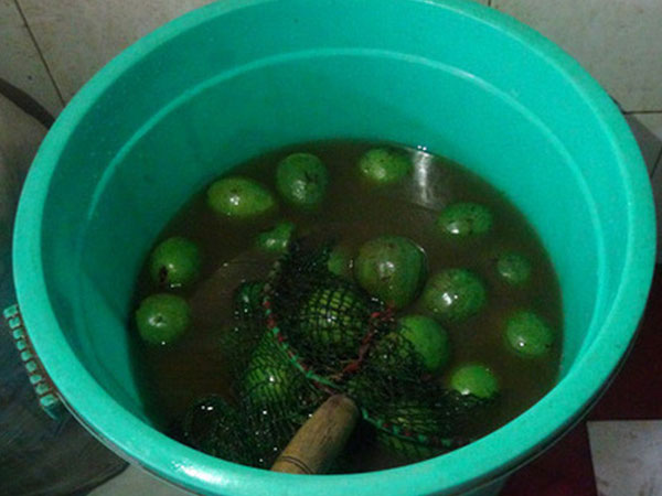 Ảnh bìa bài viết 463496