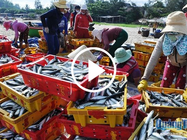 Ảnh bìa bài viết 463751