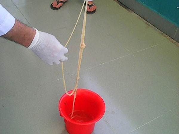 Ảnh bìa bài viết 464035