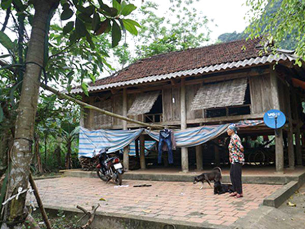 Ảnh bìa bài viết 464333
