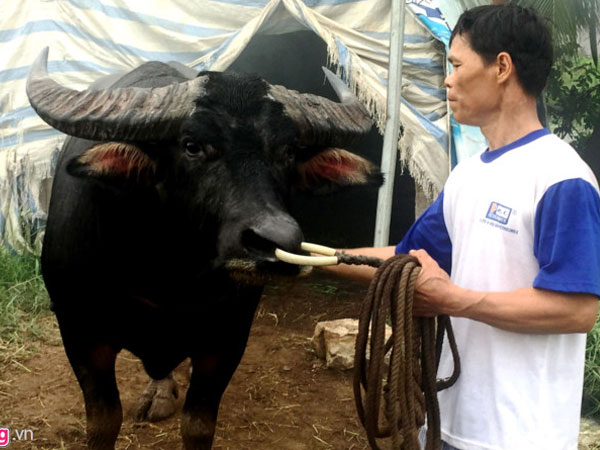 Ảnh bìa bài viết 464777