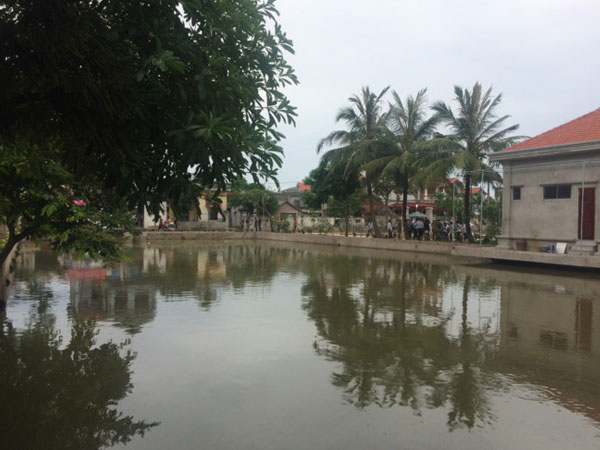 Ảnh bìa bài viết 464745