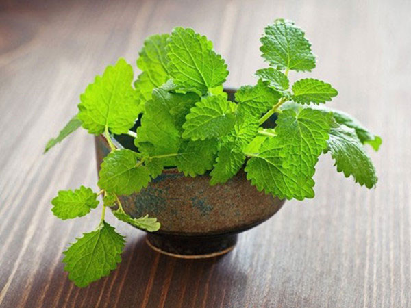Ảnh bìa bài viết 465169