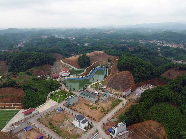 Ảnh bìa bài viết 466089