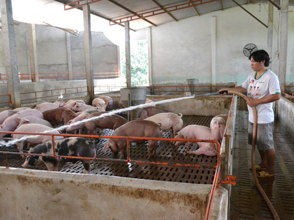 Ảnh bìa bài viết 466060
