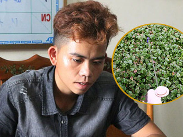 Ảnh bìa bài viết 466716