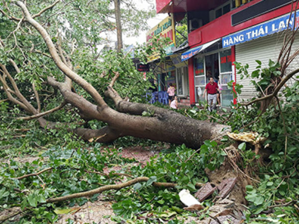 Ảnh bìa bài viết 467748