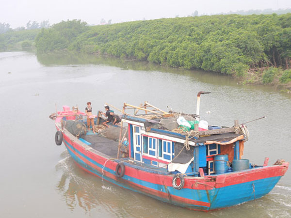 Ảnh bìa bài viết 467769