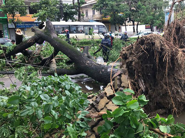 Ảnh bìa bài viết 468410