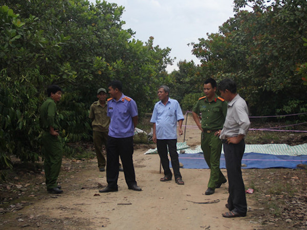 Ảnh bìa bài viết 468996