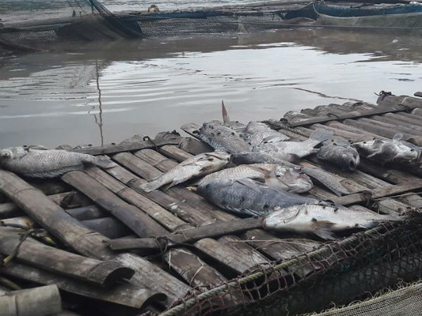 Ảnh bìa bài viết 469016