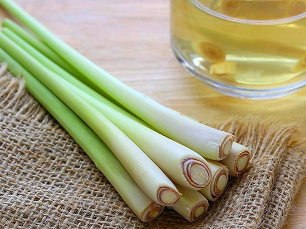 Ảnh bìa bài viết 469196