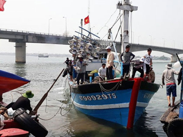 Ảnh bìa bài viết 469211