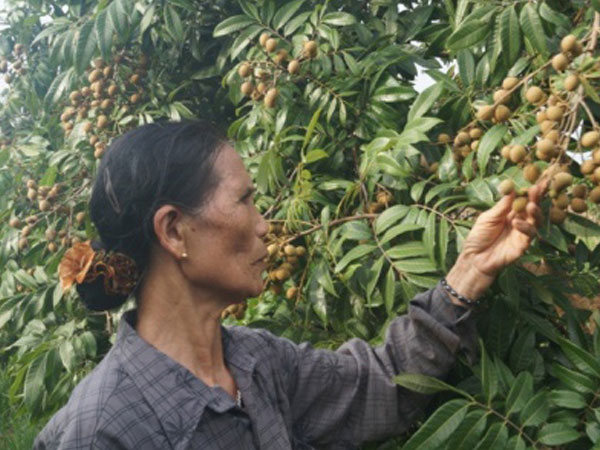 Ảnh bìa bài viết 469412