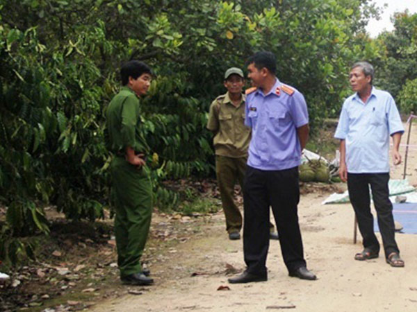 Ảnh bìa bài viết 469822