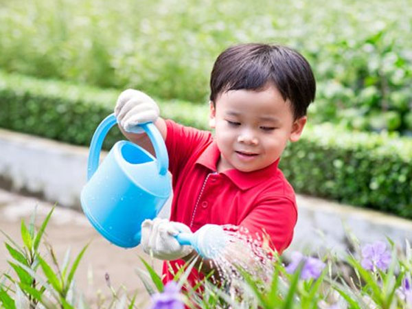 Ảnh bìa bài viết 469648