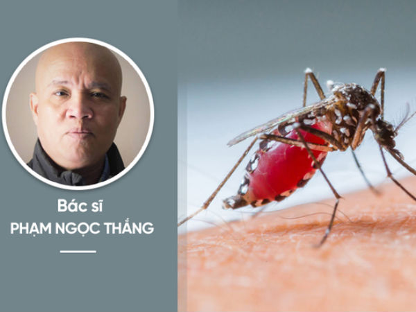 Ảnh bìa bài viết 470040