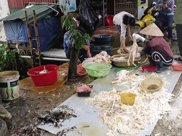 Ảnh bìa bài viết 470569