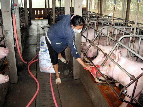 Ảnh bìa bài viết 471779