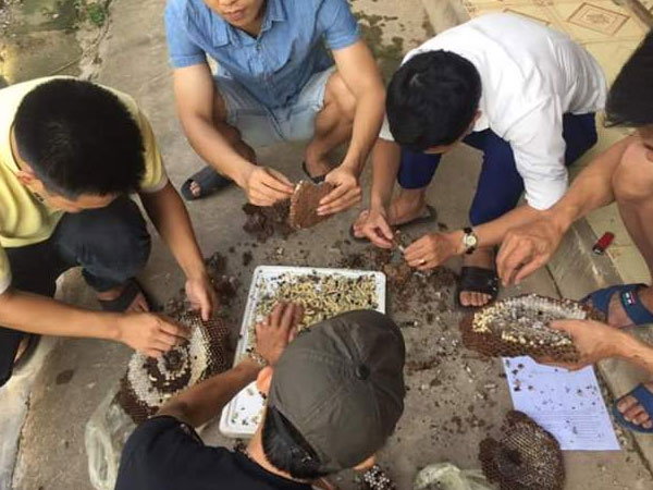 Ảnh bìa bài viết 472115