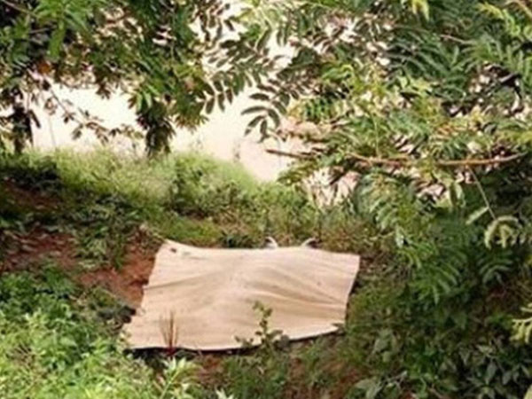 Ảnh bìa bài viết 472192
