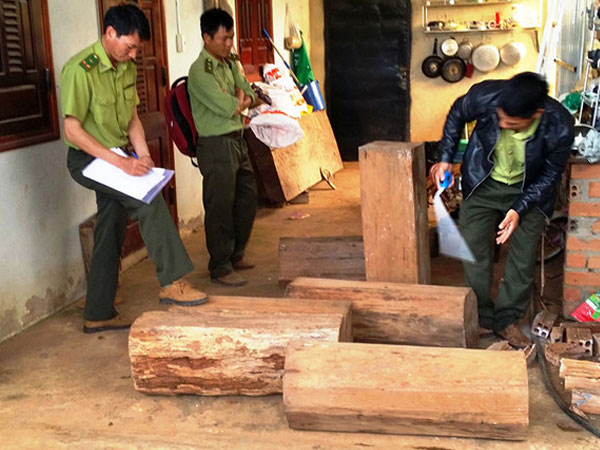 Ảnh bìa bài viết 472100