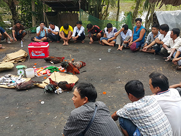 Ảnh bìa bài viết 472318
