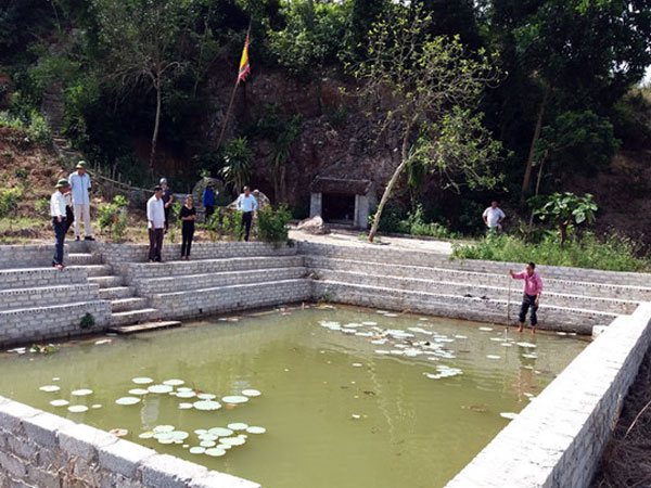 Ảnh bìa bài viết 473991